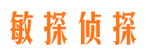 望城侦探公司